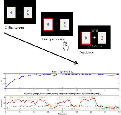 Models of Dynamic Belief Updating in Psychosis—A Review Across Different Computational Approaches